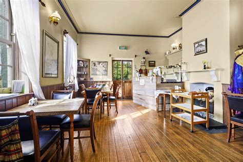 businesses for sale in tasmania